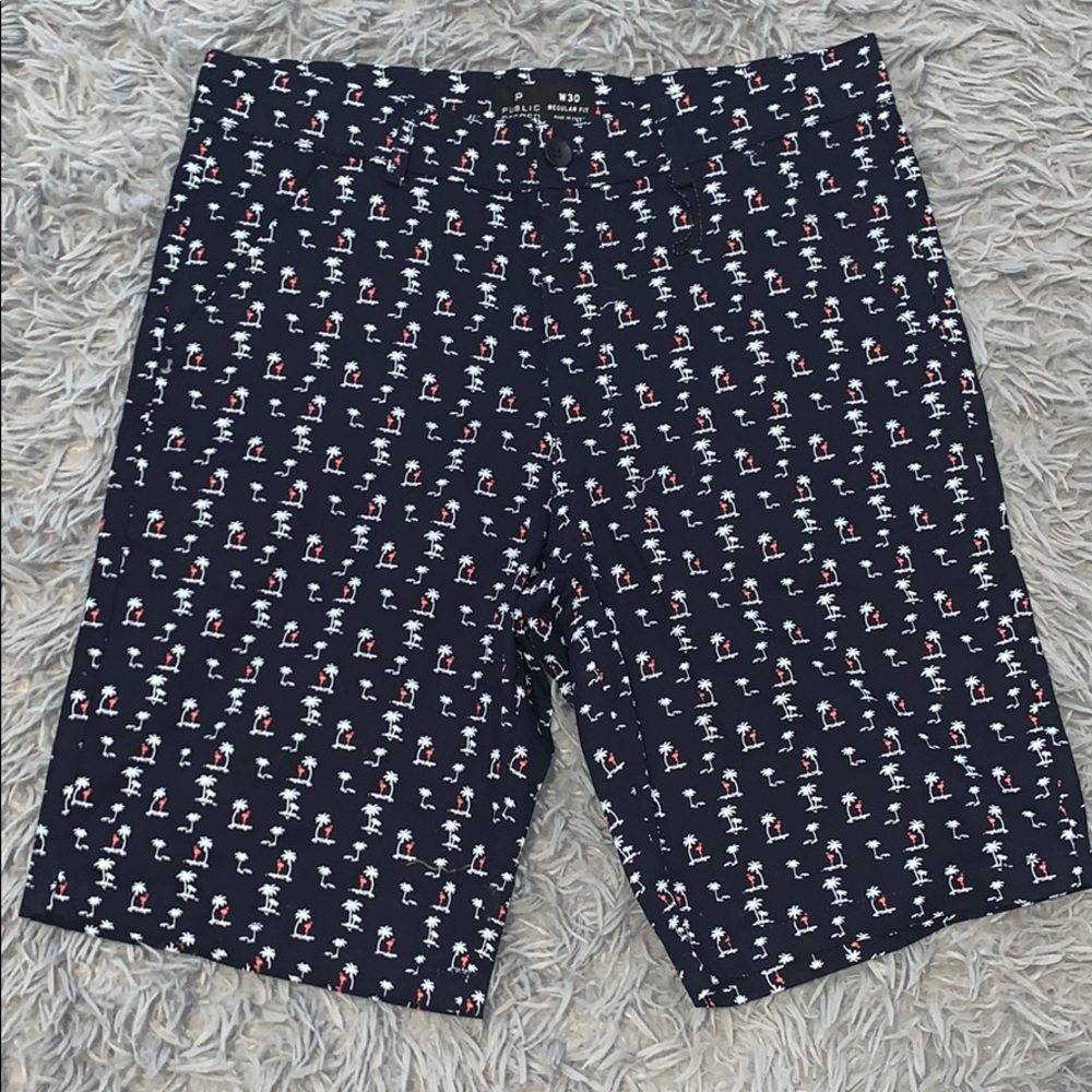 NWOT Public Records Board shorts Size 30”
